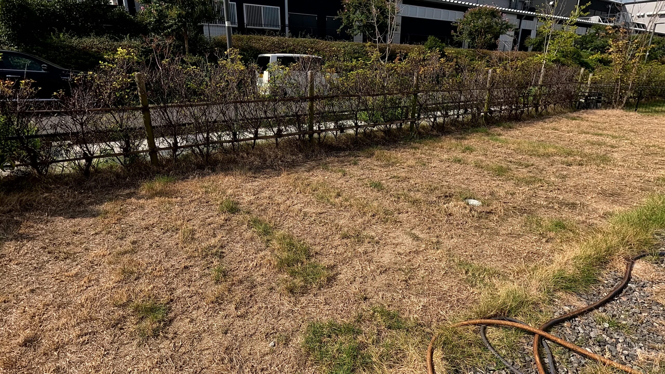 人工芝施工 BEFORE