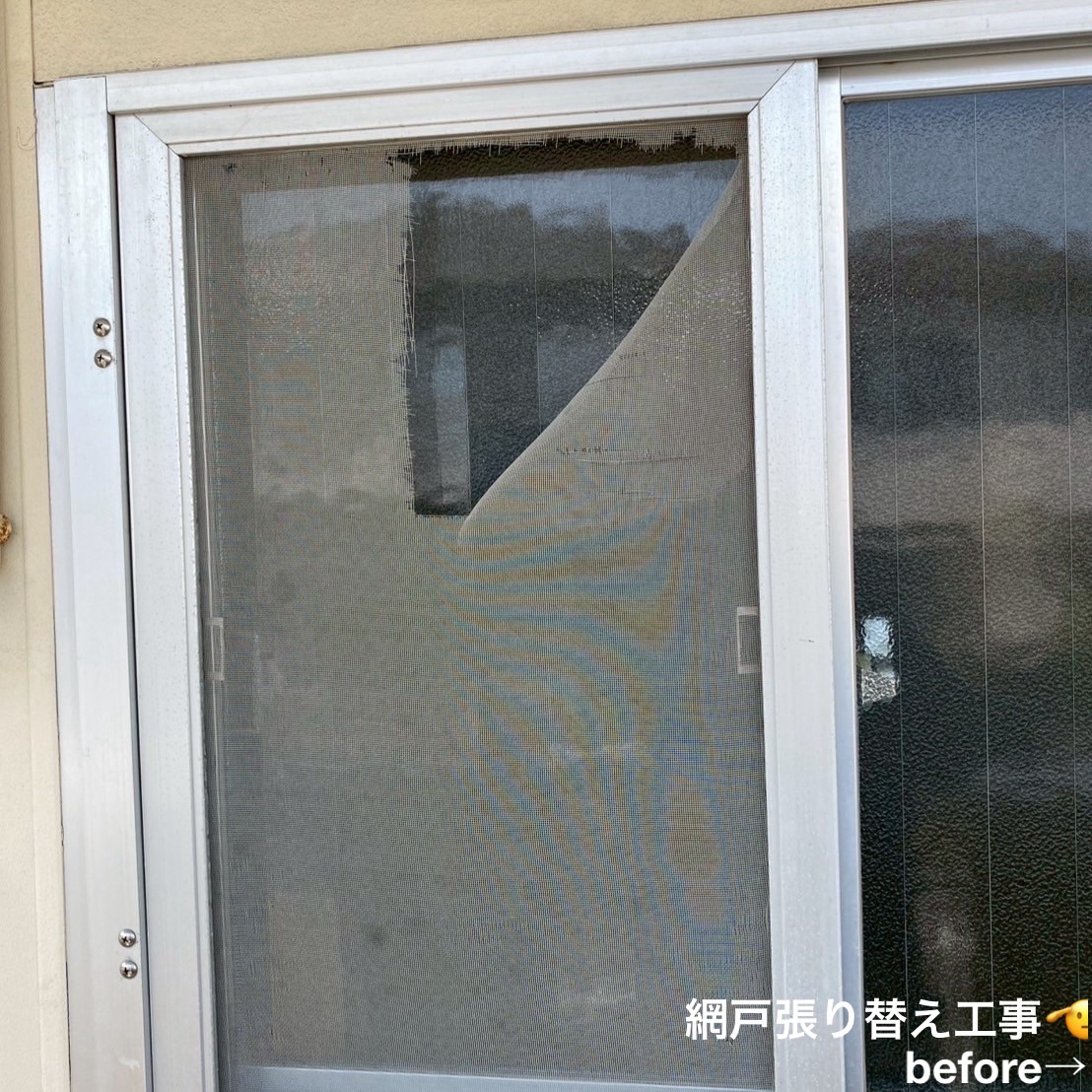 網戸張替え BEFORE